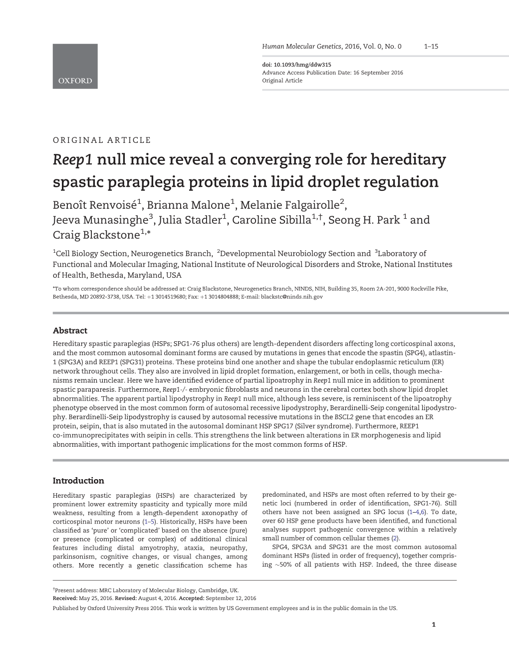Reep1 Null Mice Reveal a Converging Role for Hereditary Spastic