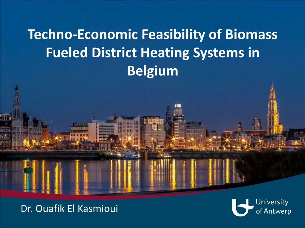 Techno-Economic Feasibility of Biomass Fueled District Heating Systems in Belgium