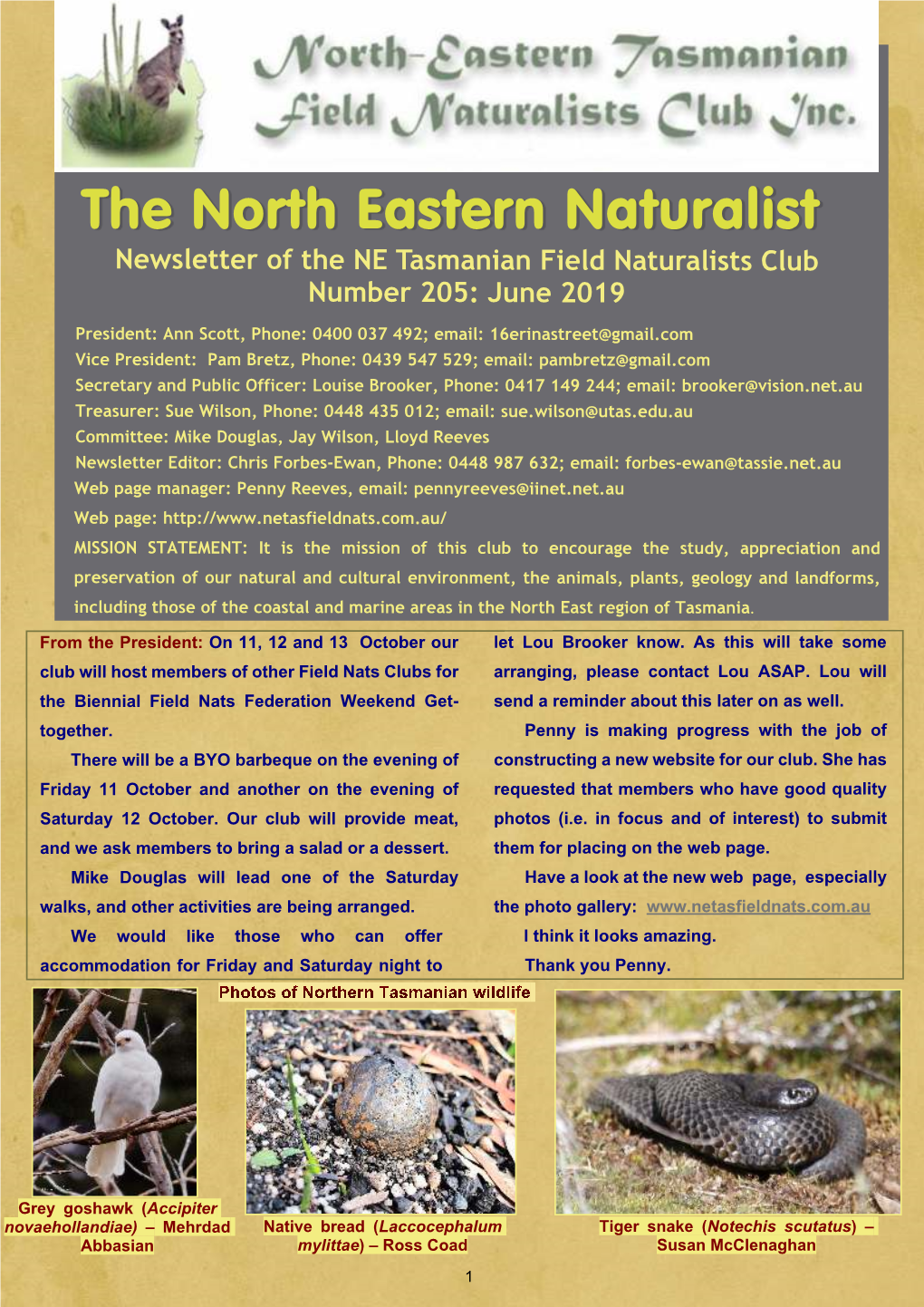 North Eastern Naturalist 205 June 2019