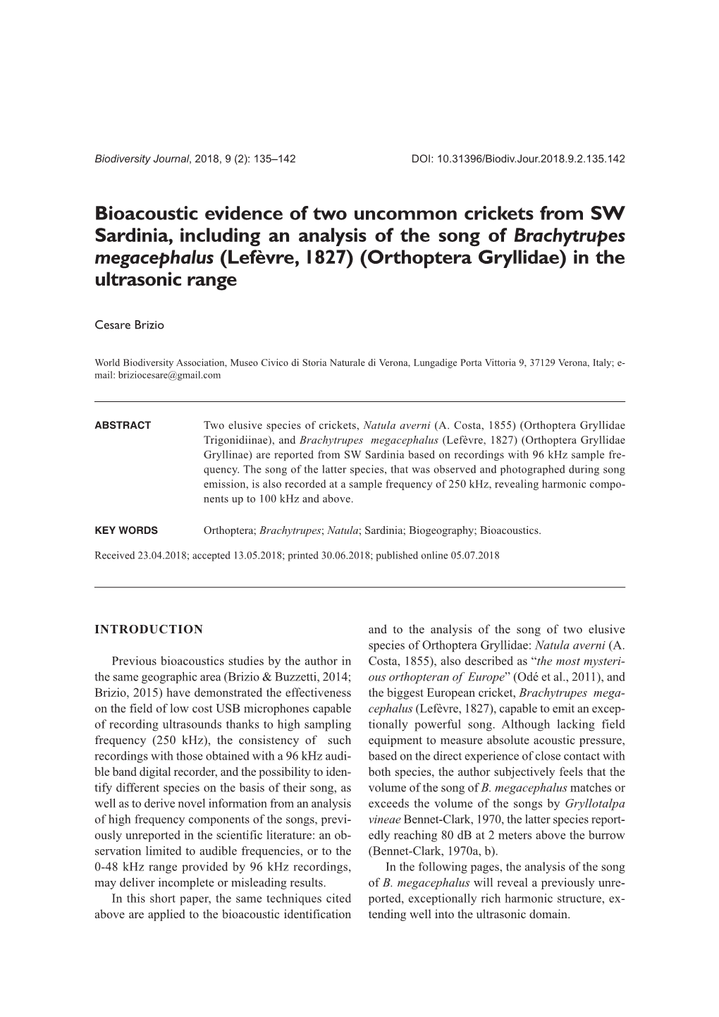 Bioacoustic Evidence of Two Uncommon Crickets from SW Sardinia, Including an Analysis of the Song of Brachytrupes Megacephalus