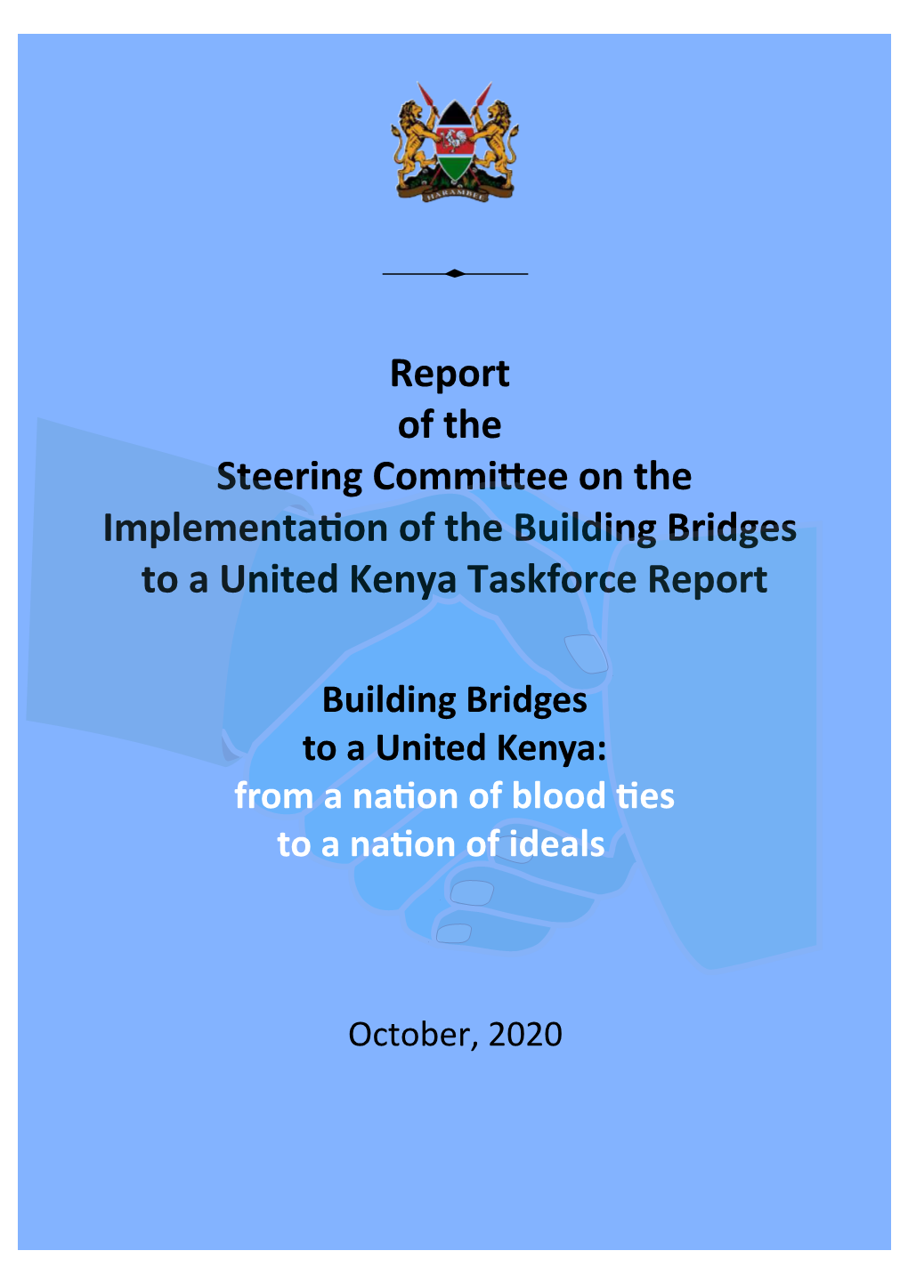 Report of the BBI Steering Committee