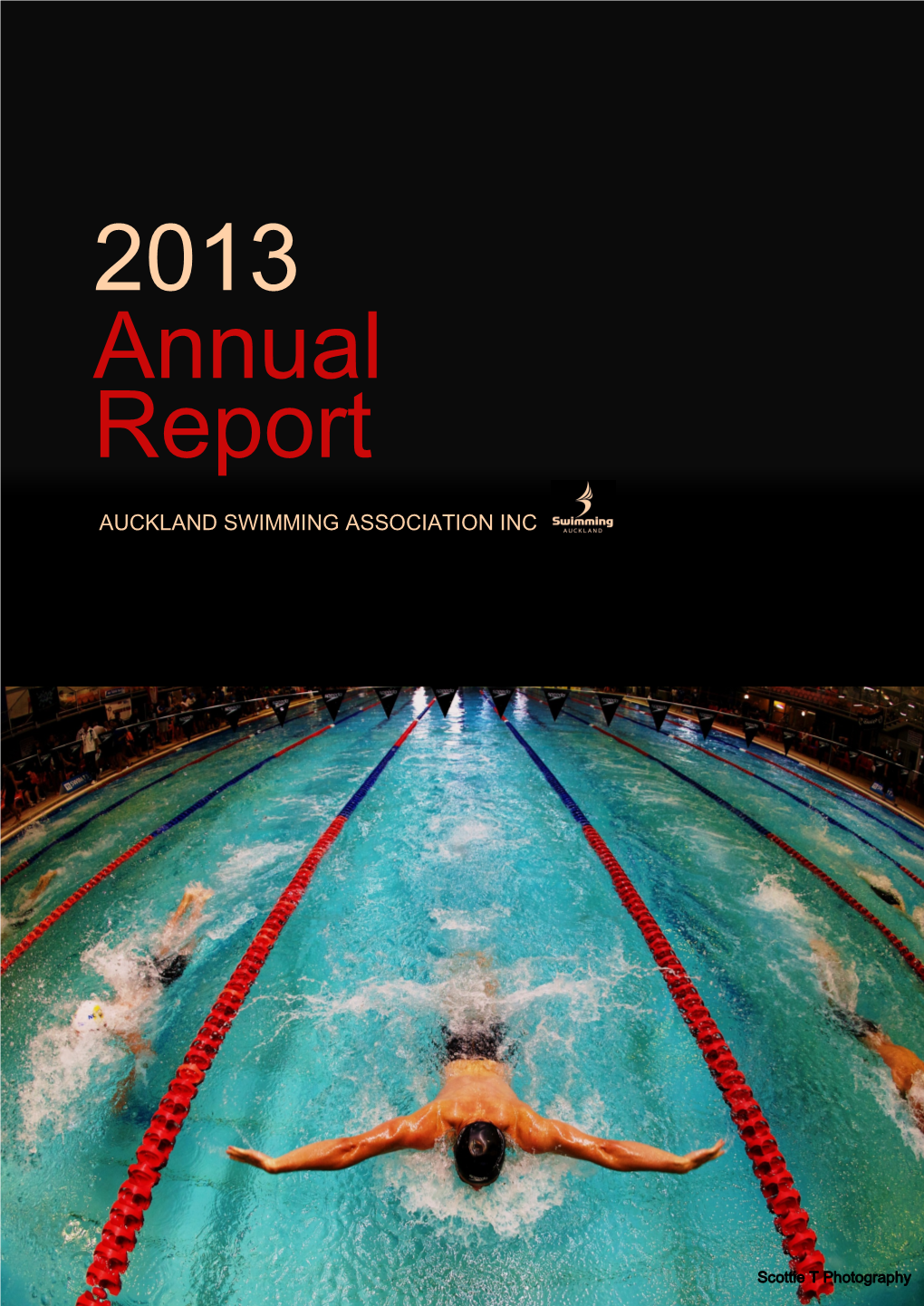 2013 Annual Report