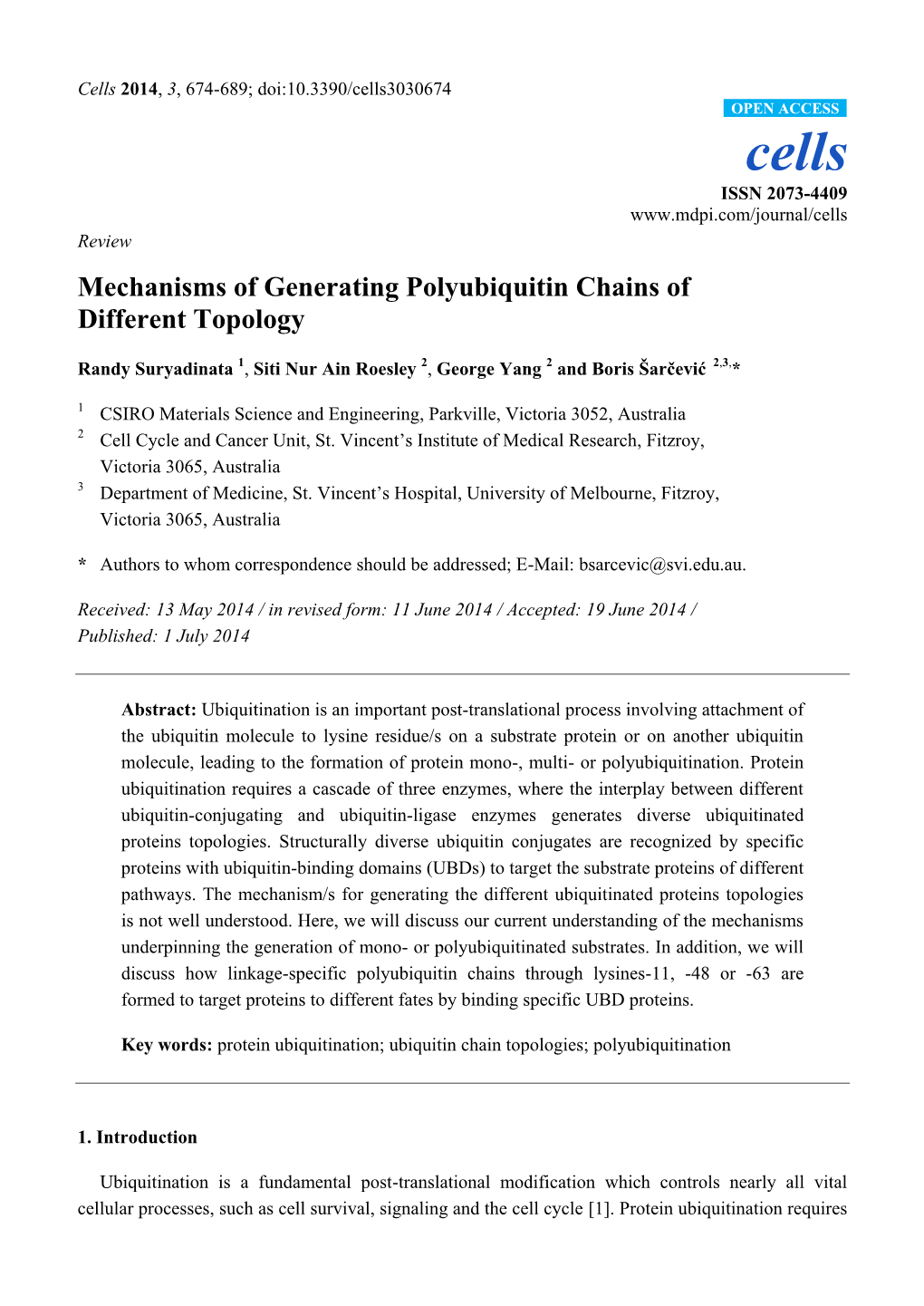 Mechanisms of Generating Polyubiquitin Chains of Different Topology