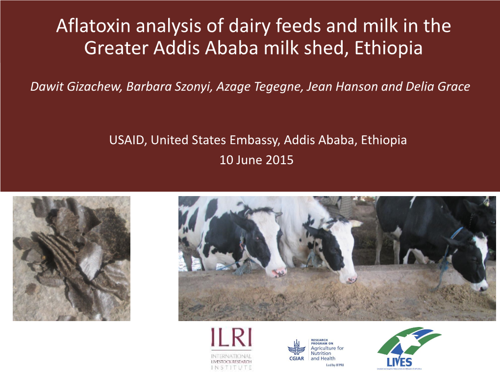 Aflatoxin Analysis of Dairy Feeds and Milk in the Greater Addis Ababa Milk Shed, Ethiopia