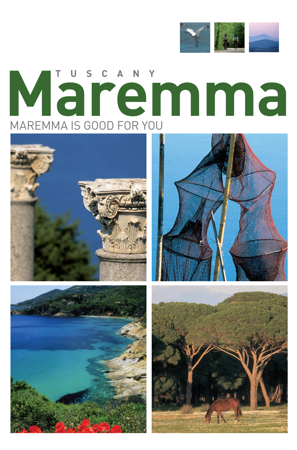 Maremma Is Good for You