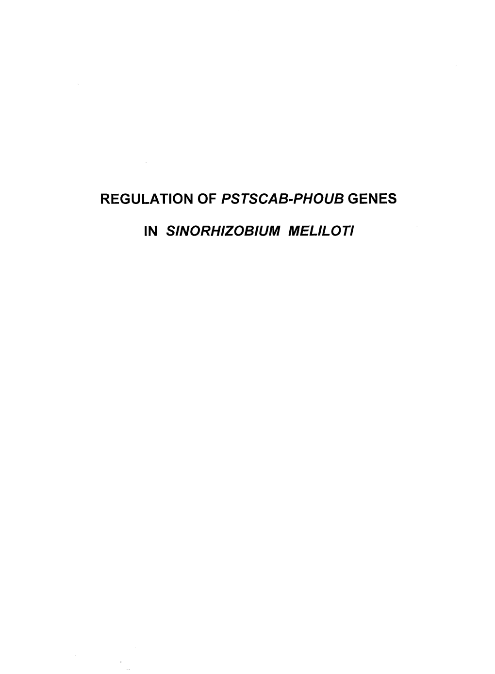 Regulation of Pstscab-Phoub Genes in Sinorhizobium Meliloti