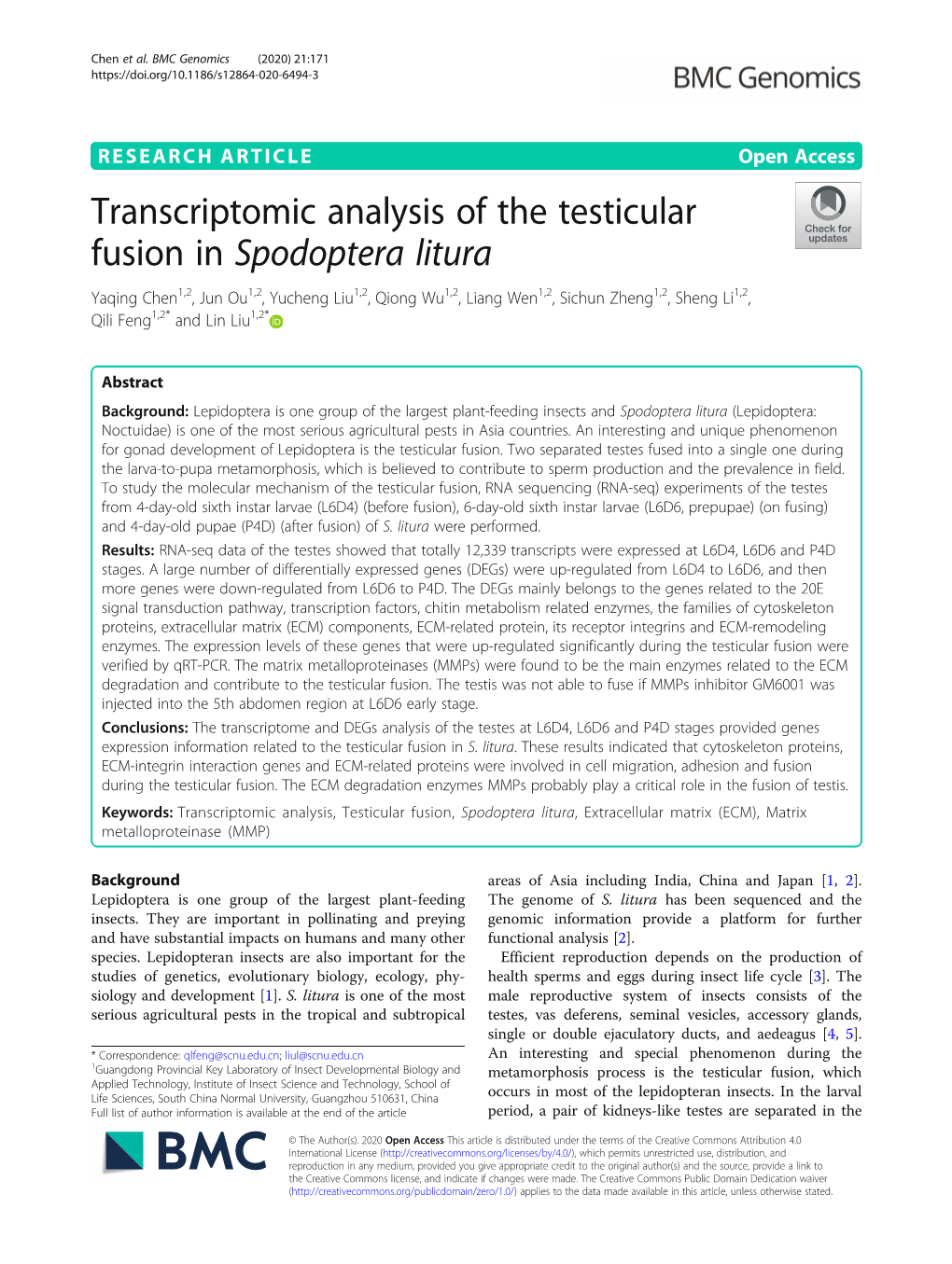 Transcriptomic Analysis of the Testicular Fusion in Spodoptera Litura