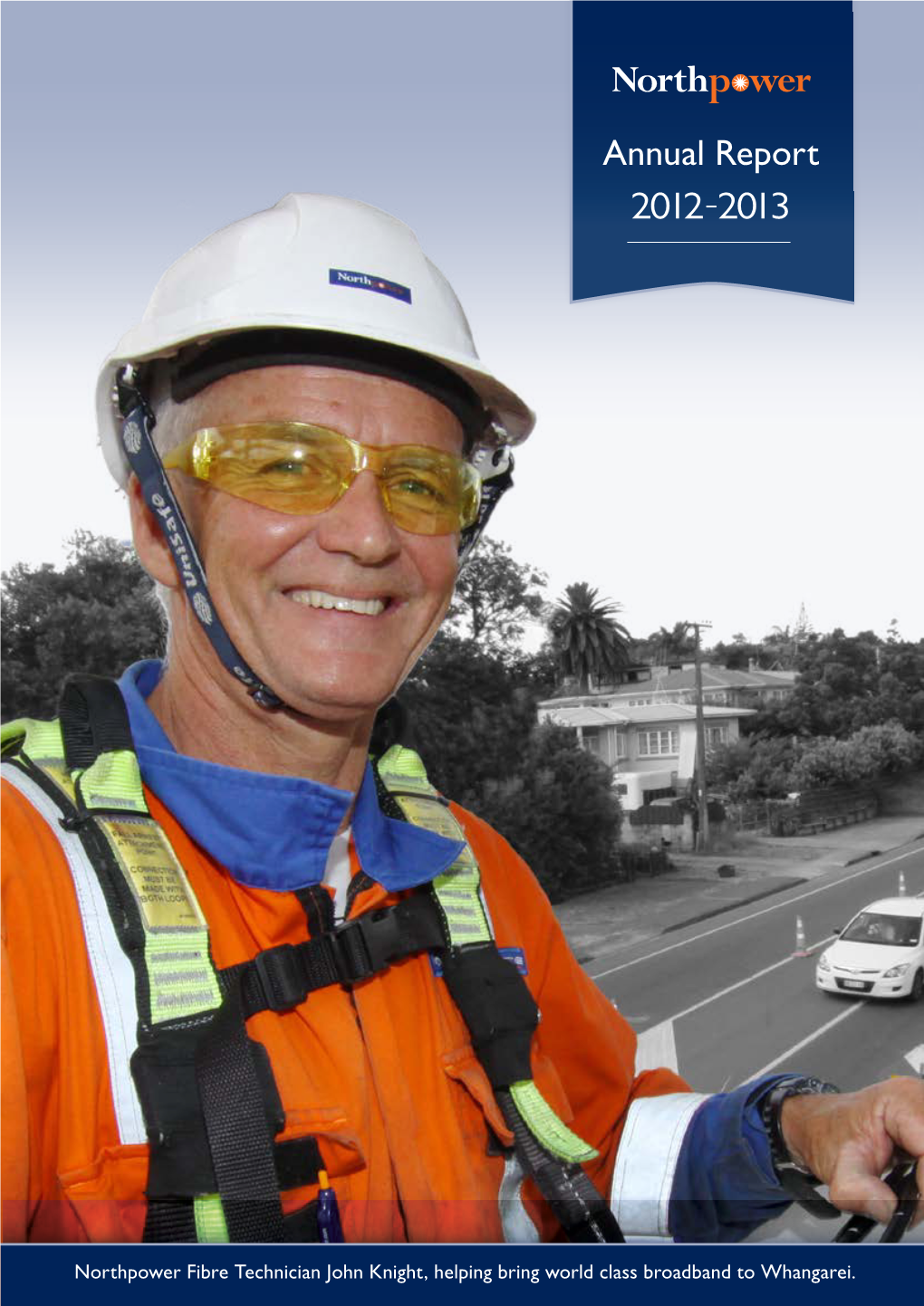 Annual Report 2012-2013