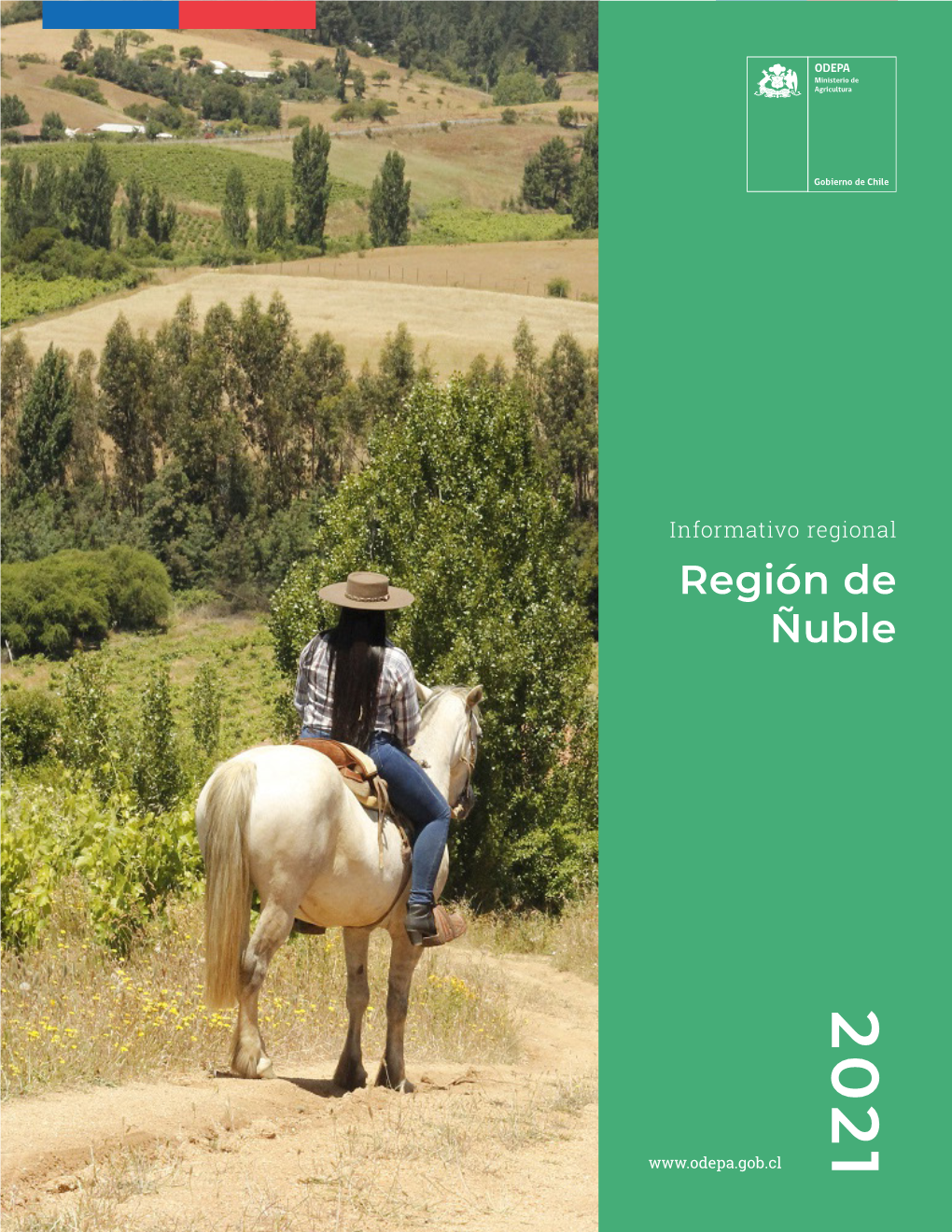 Región De Ñuble 2021