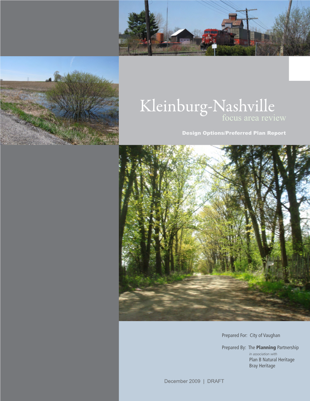 Kleinburg-Nashville Focus Area Review