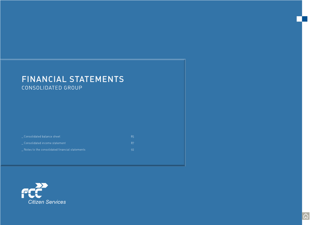 Financial Statements Consolidated Group