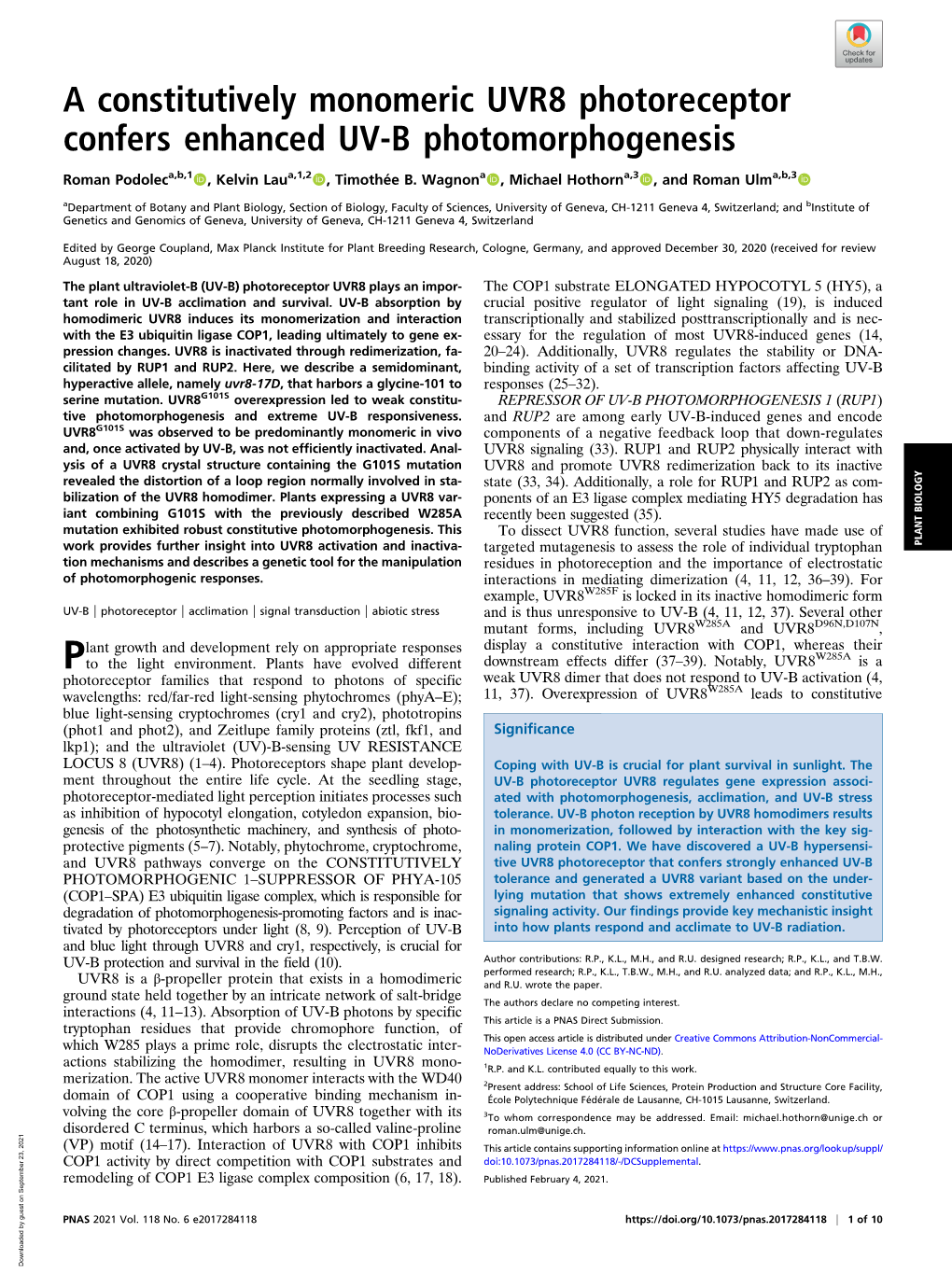 A Constitutively Monomeric UVR8 Photoreceptor Confers Enhanced UV-B Photomorphogenesis