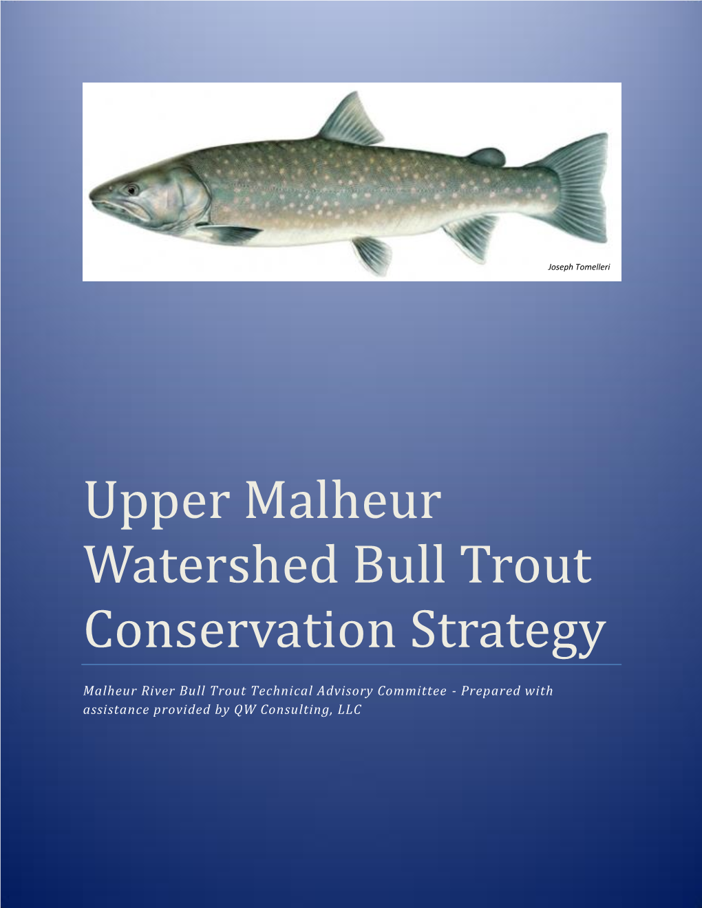 Upper Malheur Watershed Bull Trout Conservation Strategy