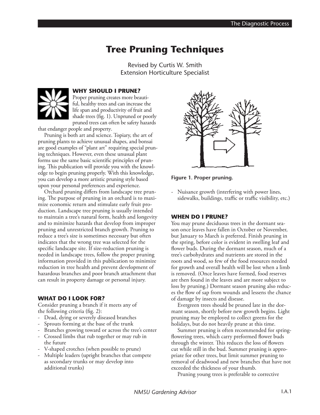 Tree Pruning Techniques