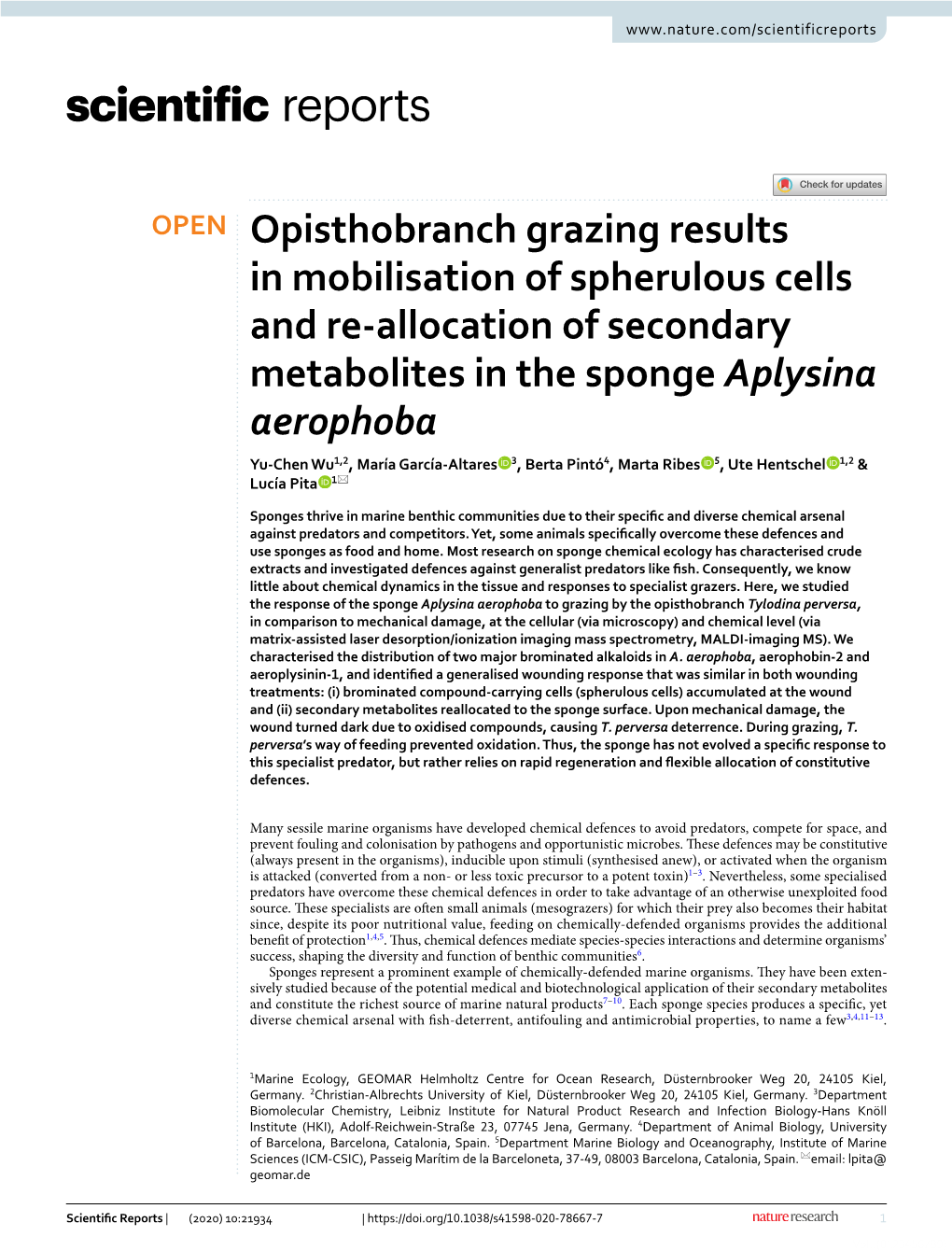 Opisthobranch Grazing Results in Mobilisation of Spherulous Cells And