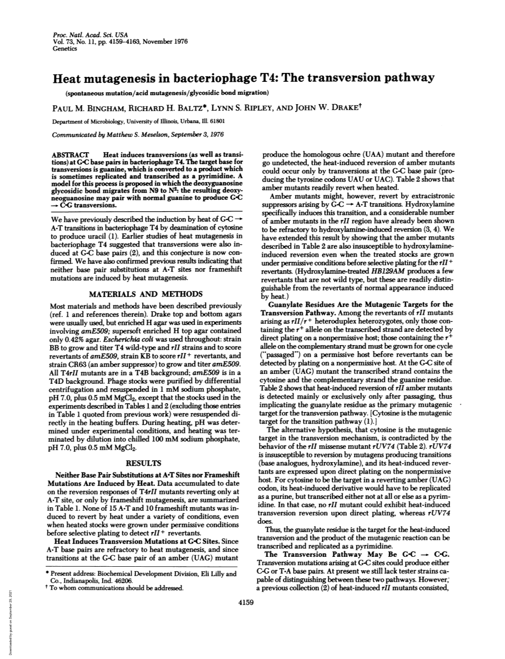 Heat Mutagenesis in Bacteriophage T4: the Transversion Pathway (Spontaneous Mutation/Acid Mutagenesis/Glycosidic Bond Migration) PAUL M