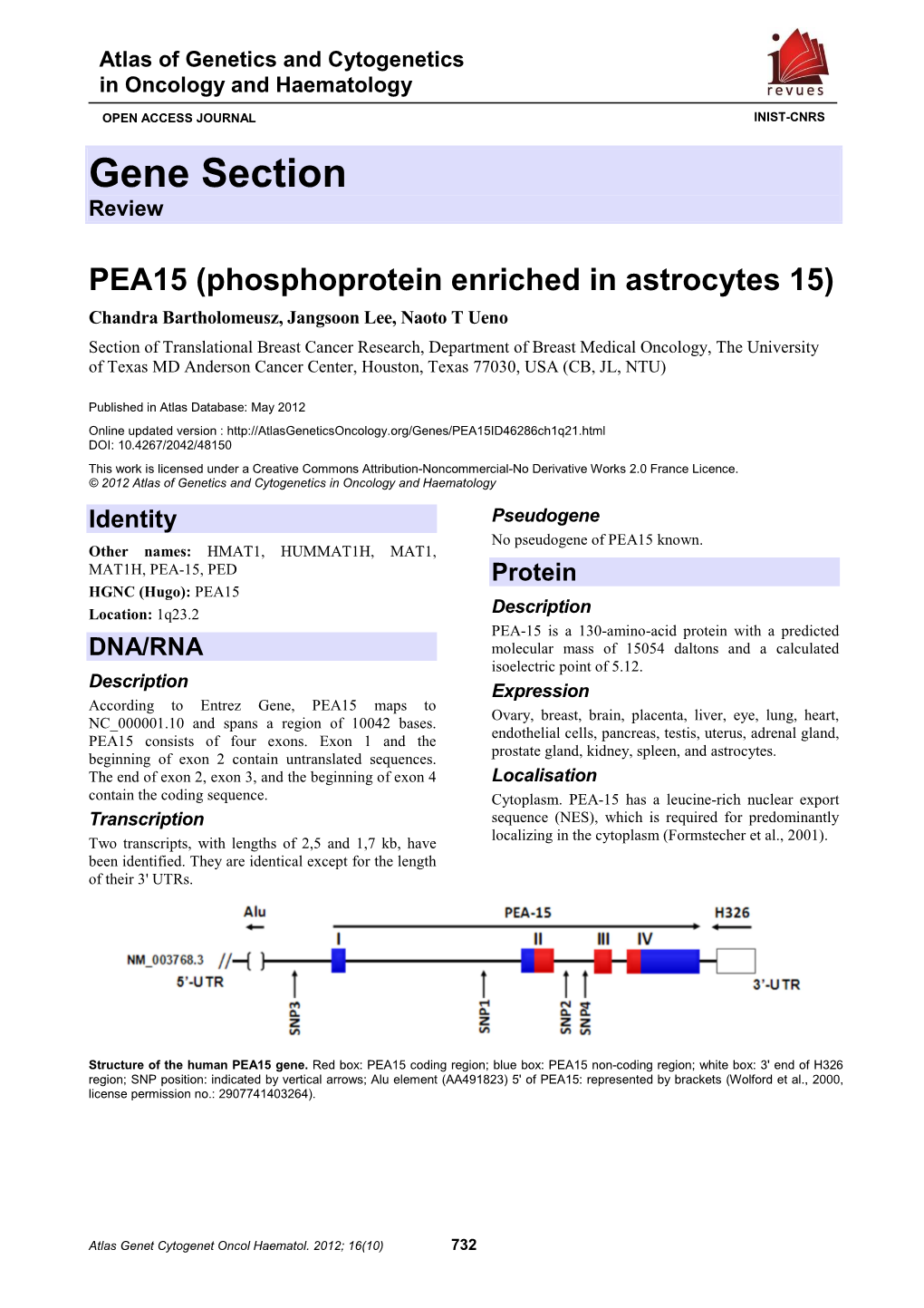 Gene Section Review