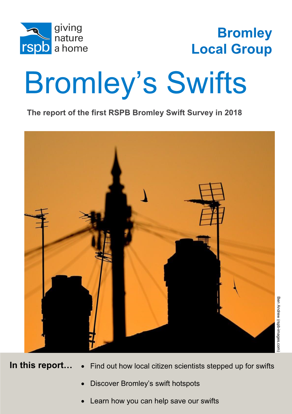 Bromley's Swifts Title