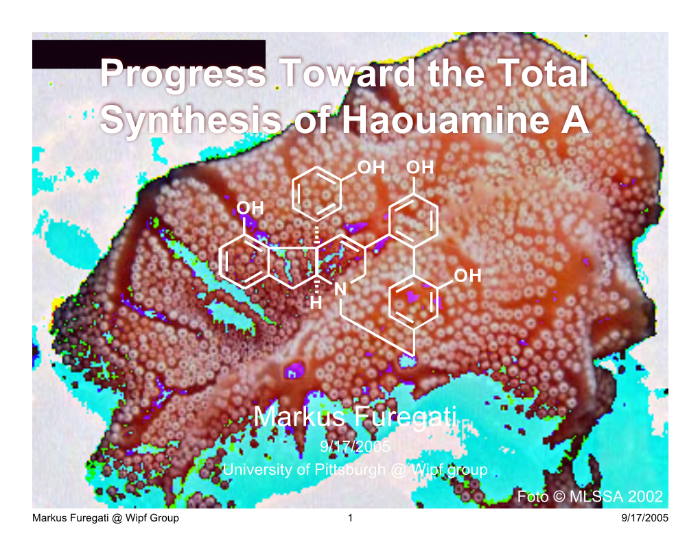 Aplidium Haouarianum Collected Off Tarifa Island (Cádiz Spain)