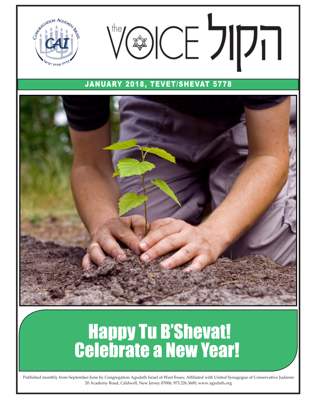 Happy Tu B'shevat! Celebrate a New Year!