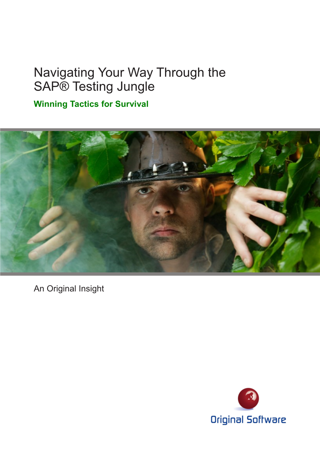 Navigating Your Way Through the SAP® Testing Jungle