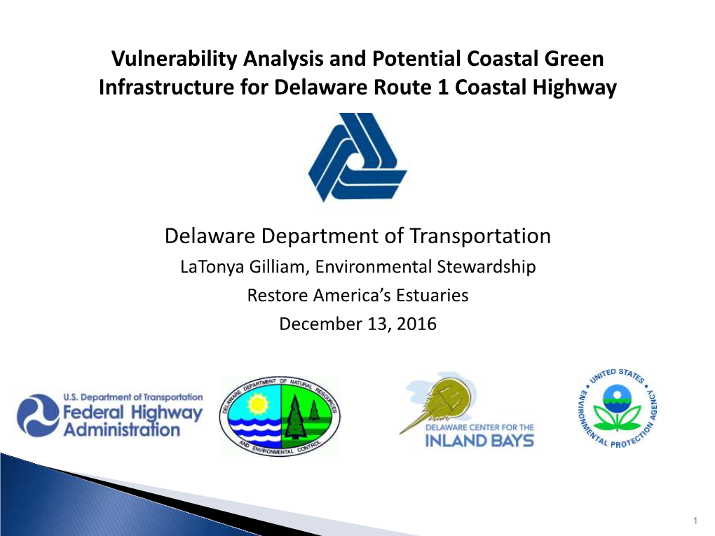 Vulnerability Analysis and Potential Coastal Green Infrastructure for Delaware Route 1 Coastal Highway