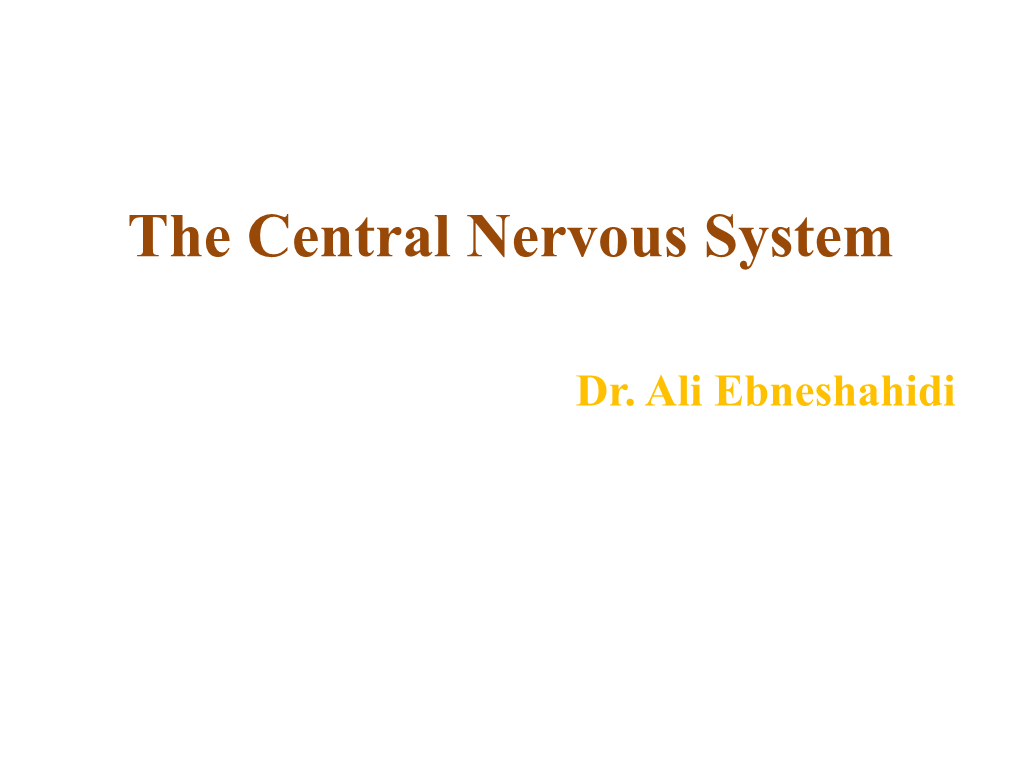 The Central Nervous System Dr. Ali Ebneshahidi