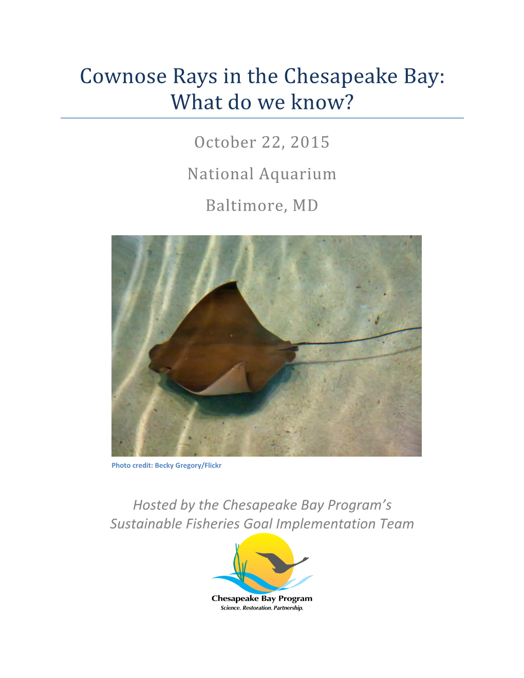 Cownose Rays in the Chesapeake Bay: What Do We Know?