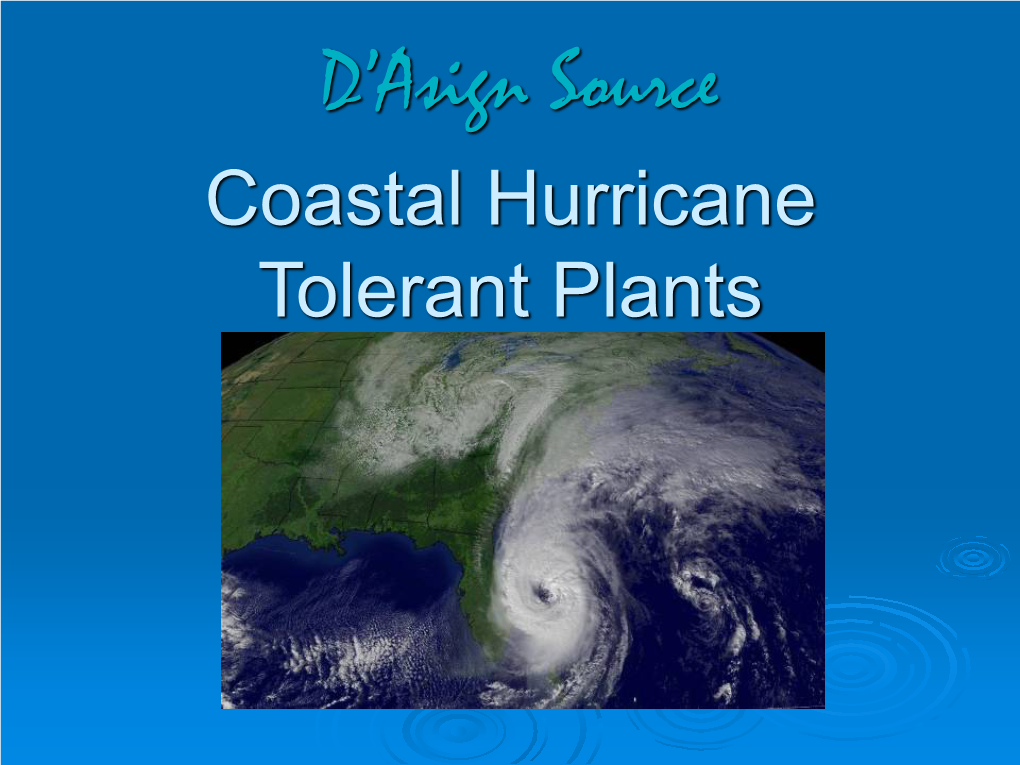 Coastal Hurricane Tolerant Plants, by D'asign Source