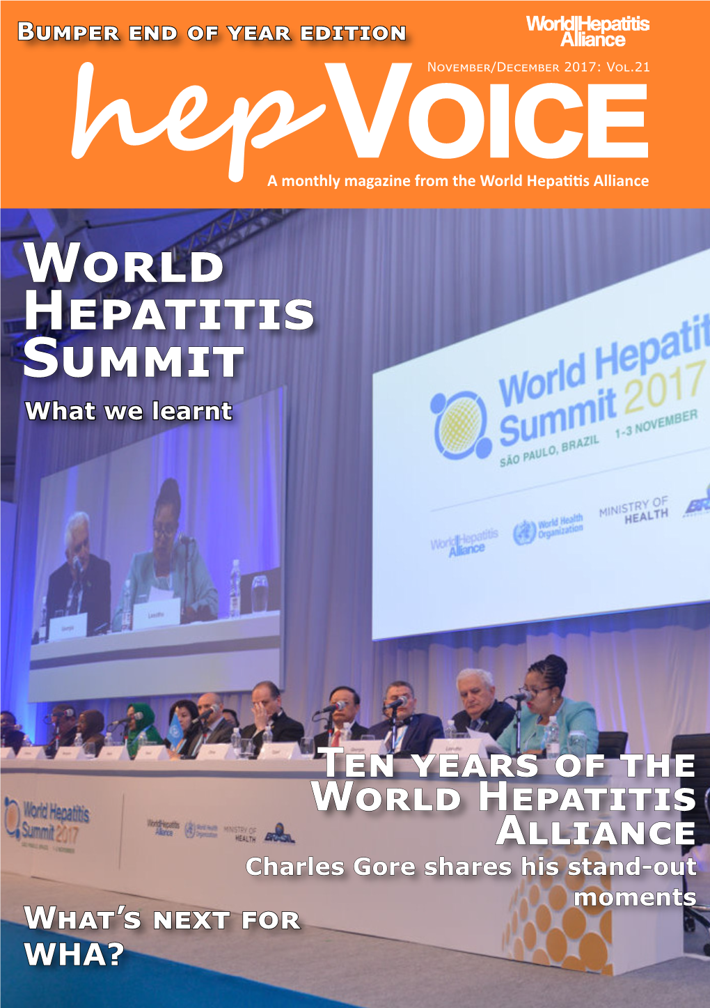 World Hepatitis Summit What We Learnt