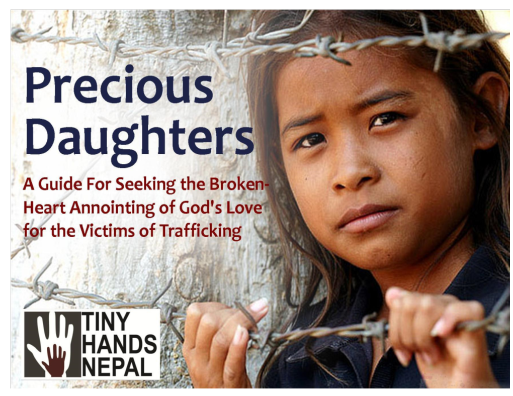 Precious Daughters a Guide for Seeking the Broken-Hearted Annointing of God's Love for the Victims of Trafficking