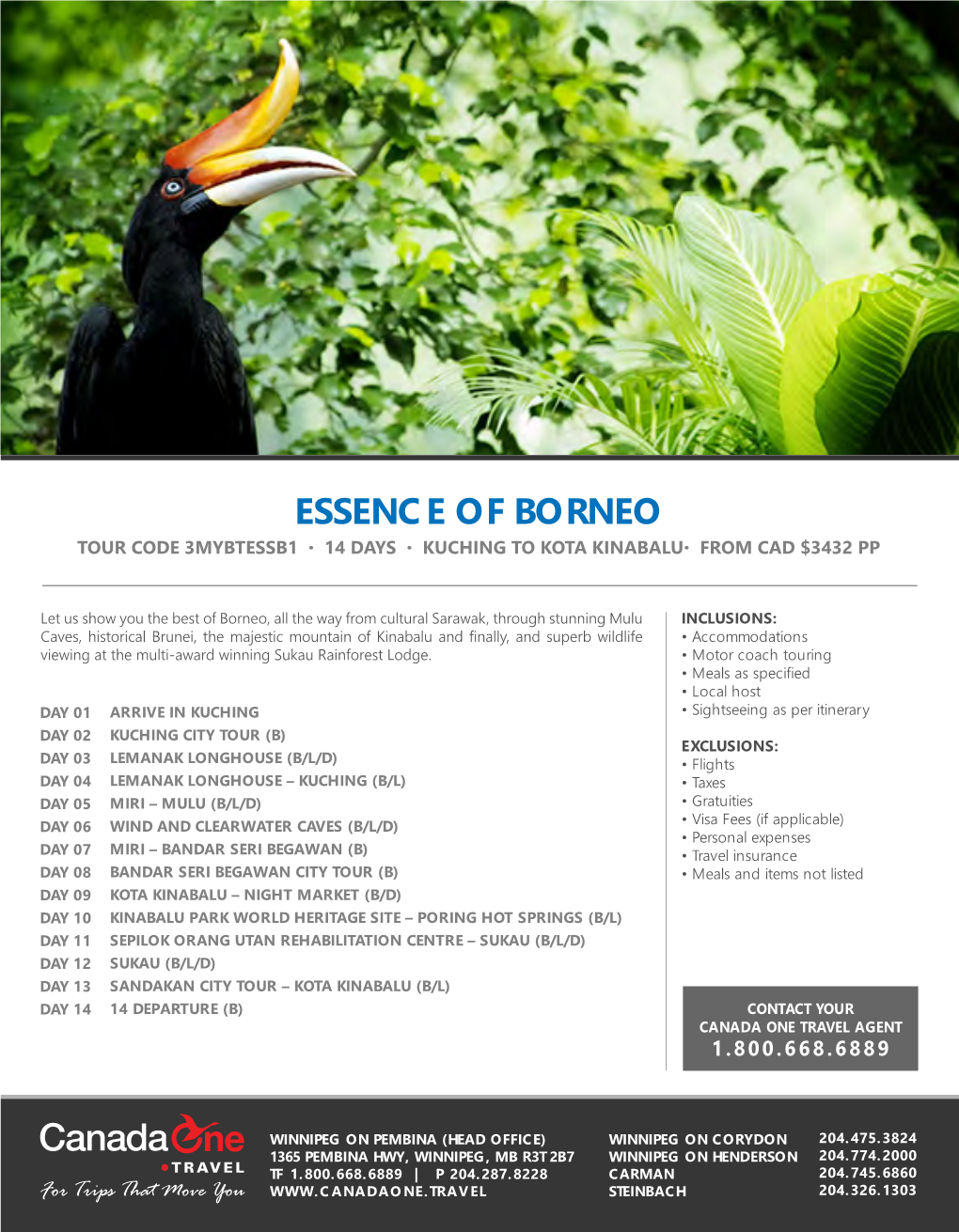 3MYBTESSB1 Essence of Borneo O