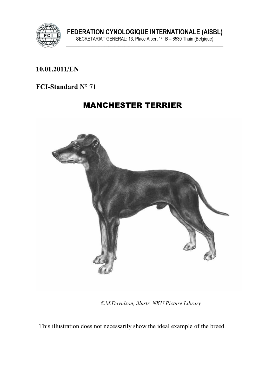 Manchester Terrier