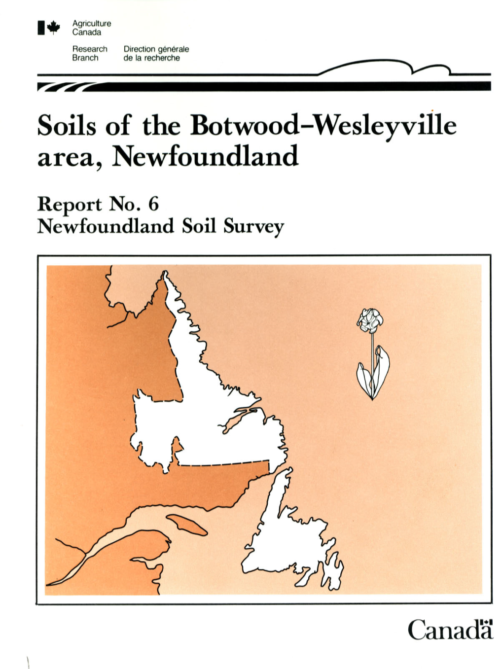 Soils of the Botwood-Wesleyviile Area, Newfoundland