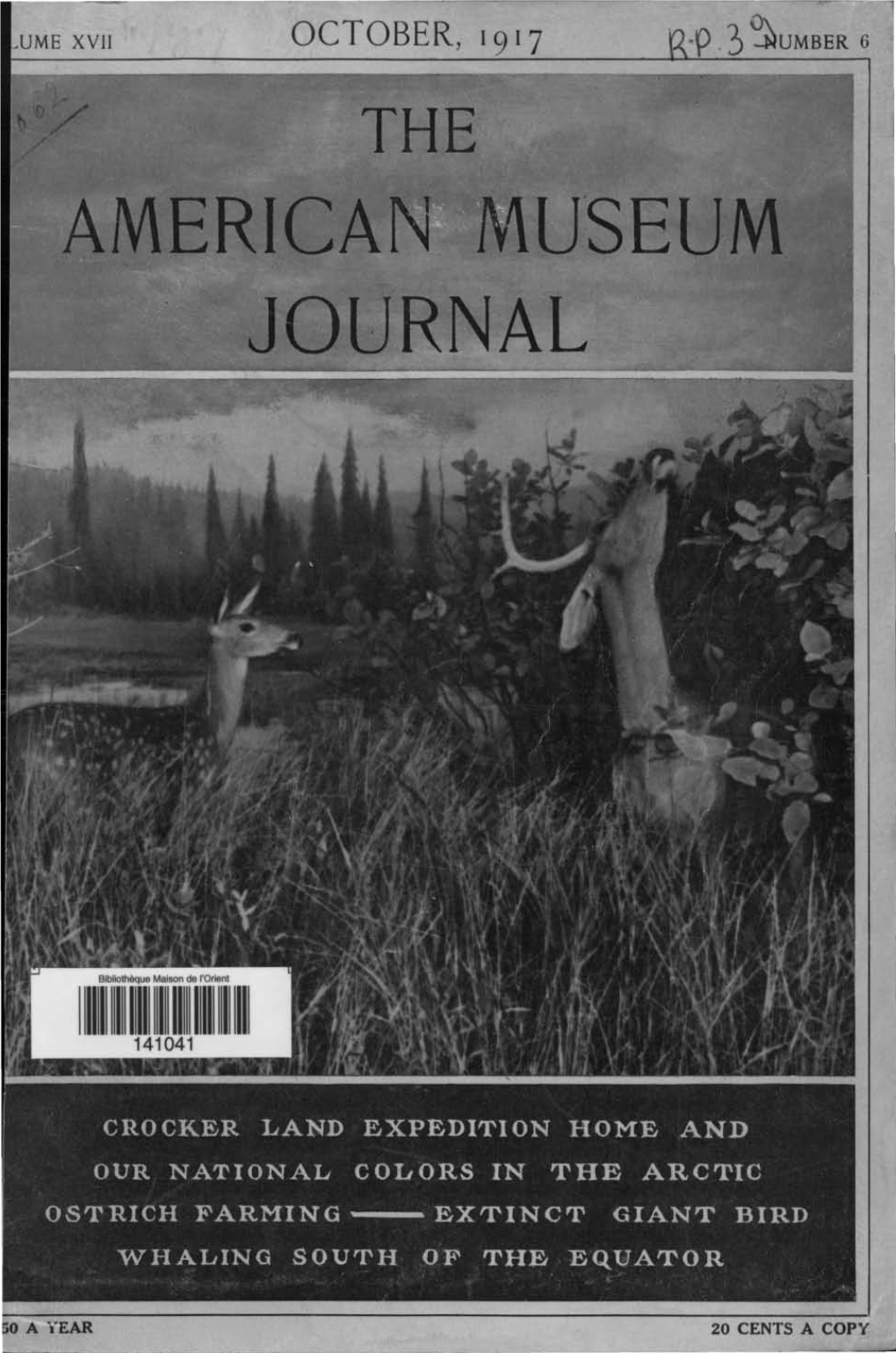 AMERICAM MU'seum . JOURNAL the American Museum of Natural History