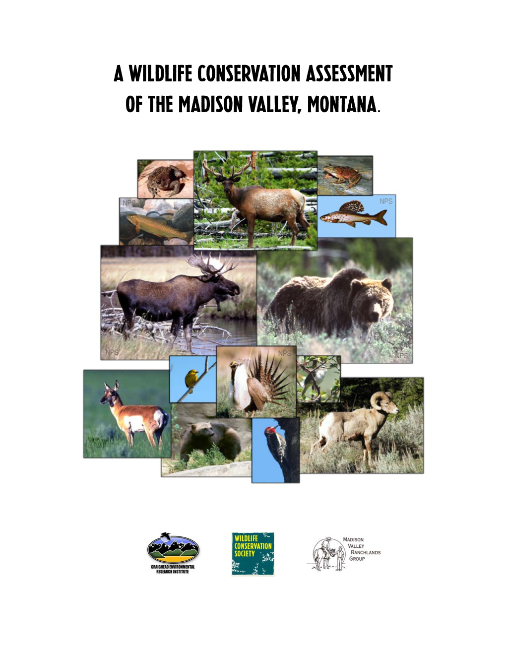 A Wildlife Conservation Assessment of the Madison Valley, Montana