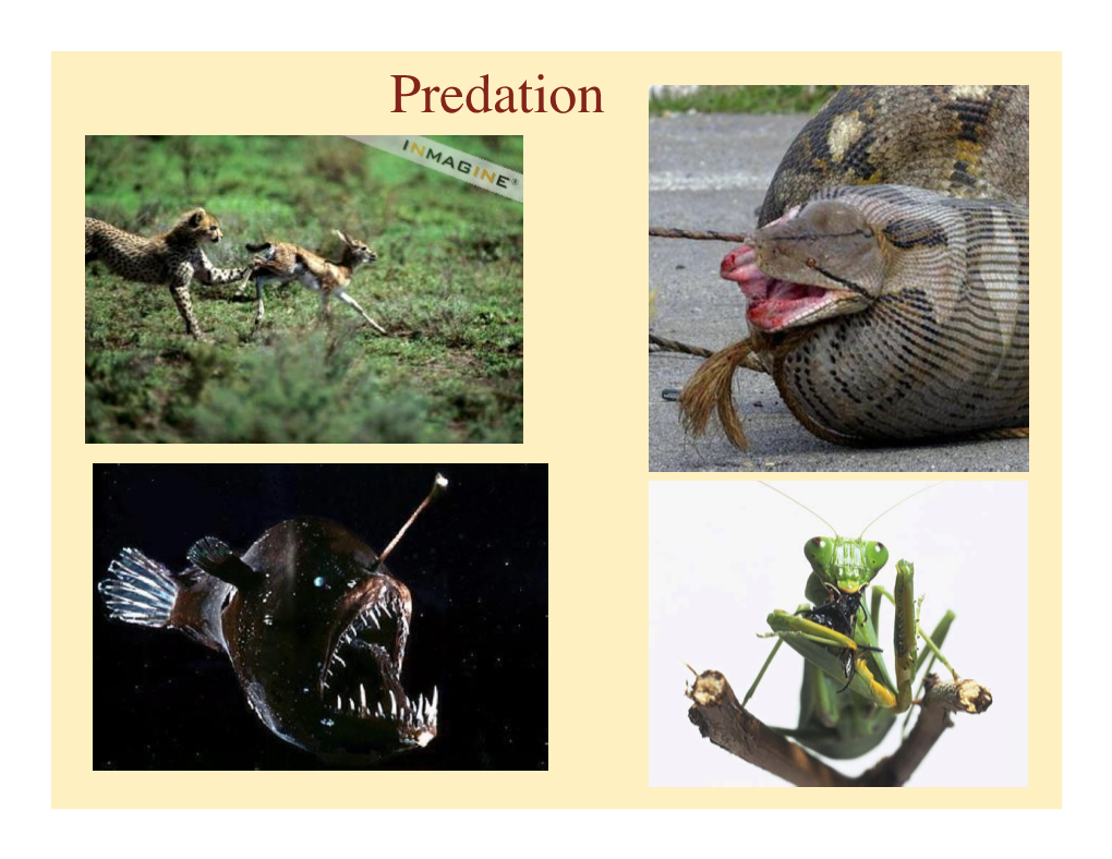 Predation Predation