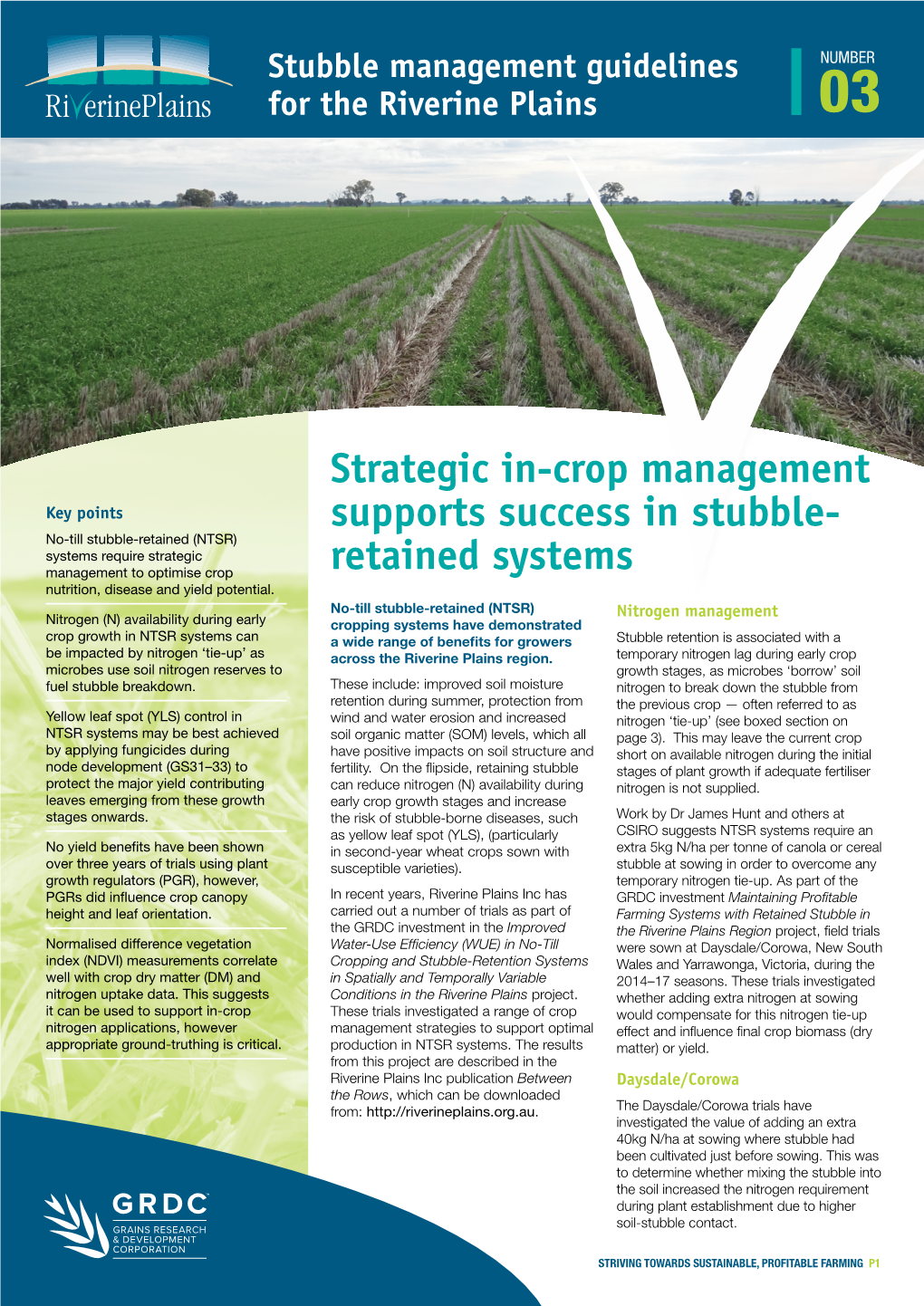 Strategic In-Crop Management Supports Success in Stubble