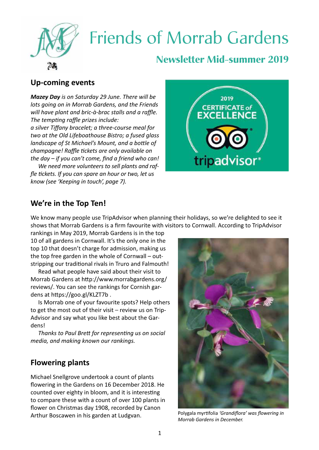 Friends of Morrab Gardens Newsletter Mid-Summer 2019