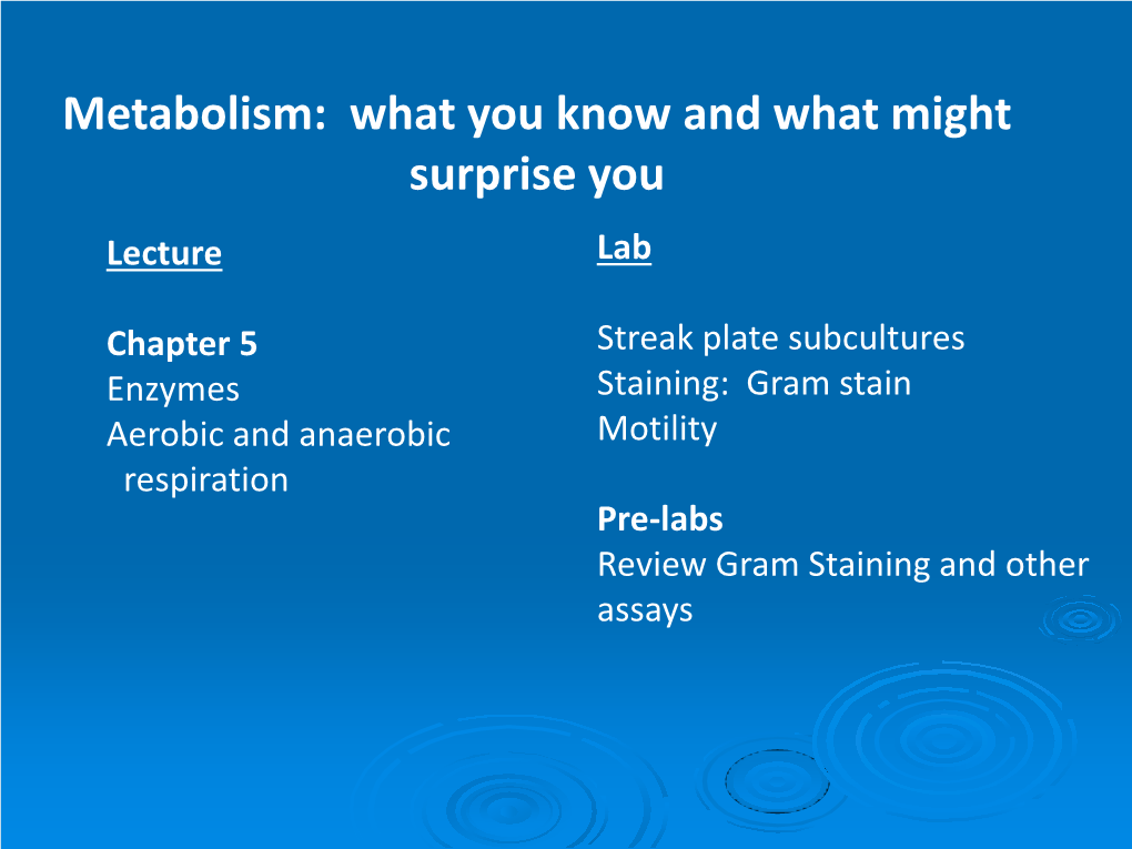 Metabolism: What You Know and What Might Surprise You Lecture Lab