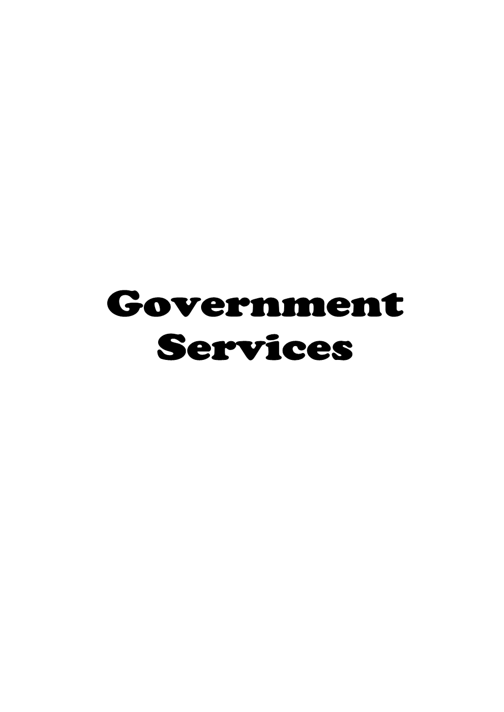 Government Services – 2021