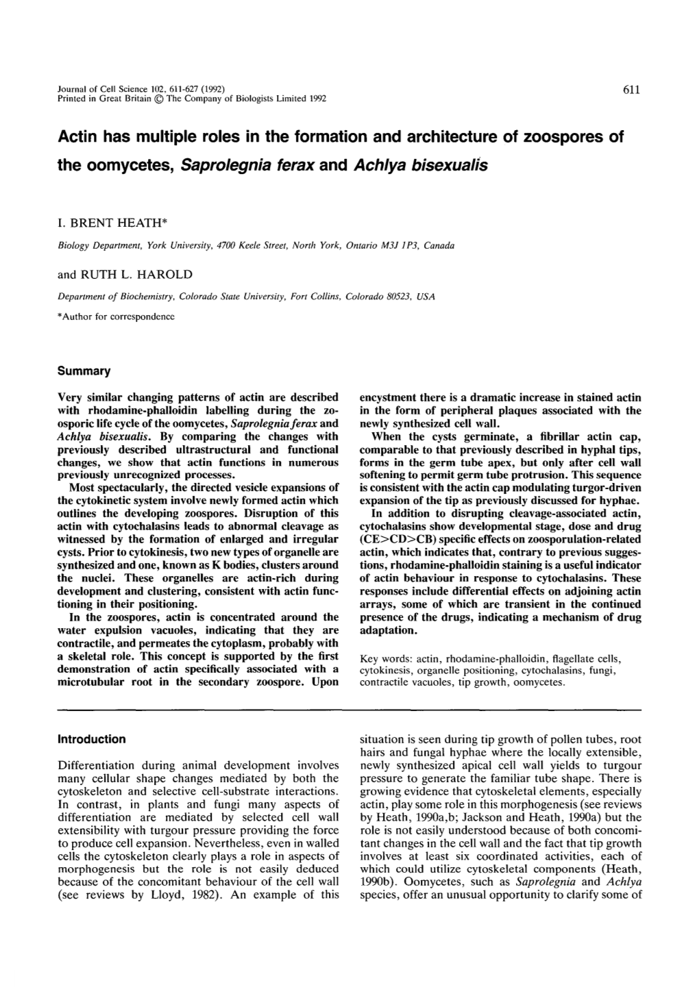 Actin Has Multiple Roles in the Formation and Architecture of Zoospores of the Oomycetes, Saprolegnia Ferax and Achlya Bisexualis