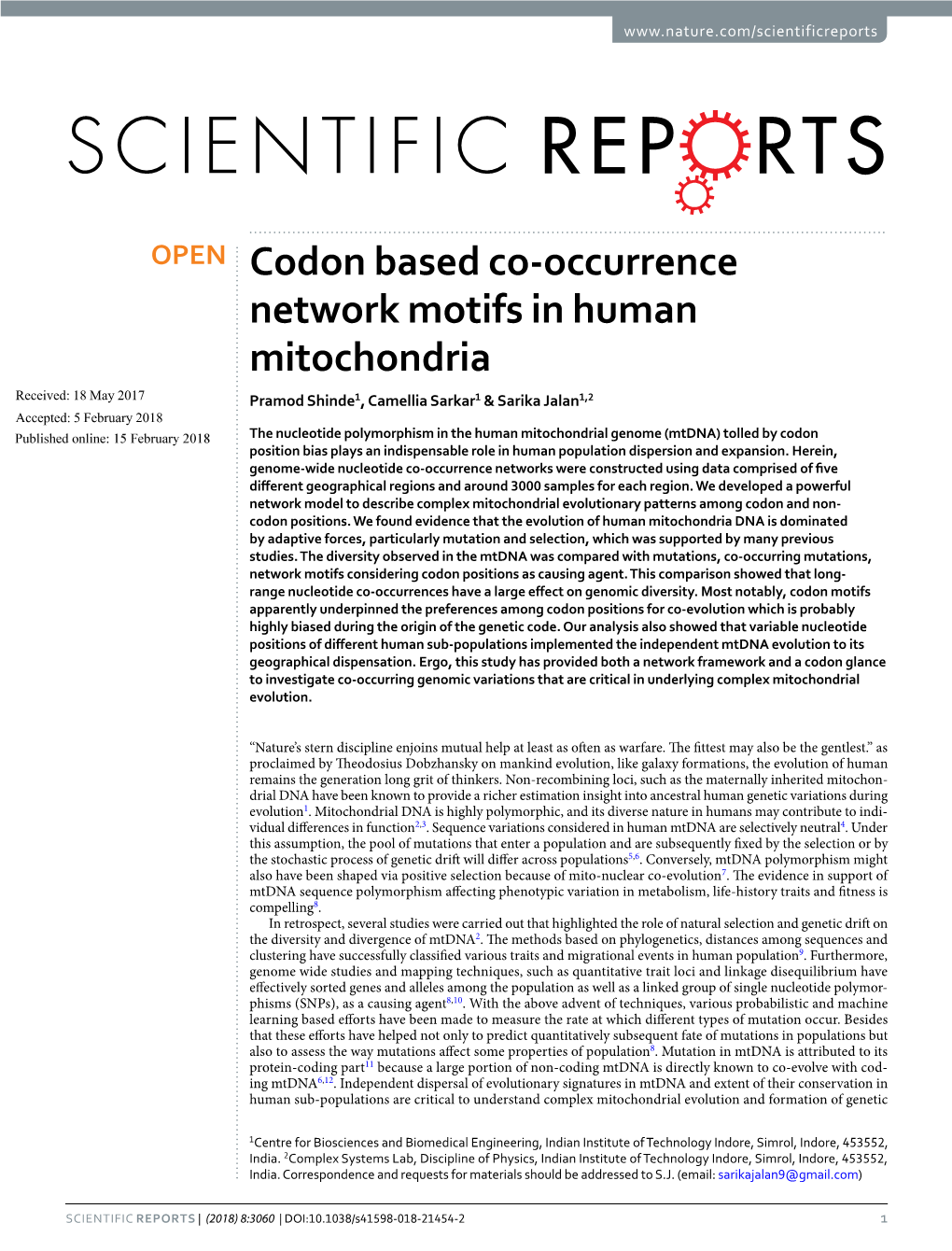 Codon Based Co-Occurrence Network Motifs in Human Mitochondria