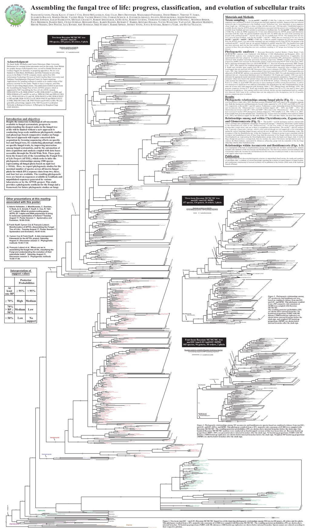 Assembling the Fungal Tree of Life: Progress, Classification, and Evolution of Subcellular Traits