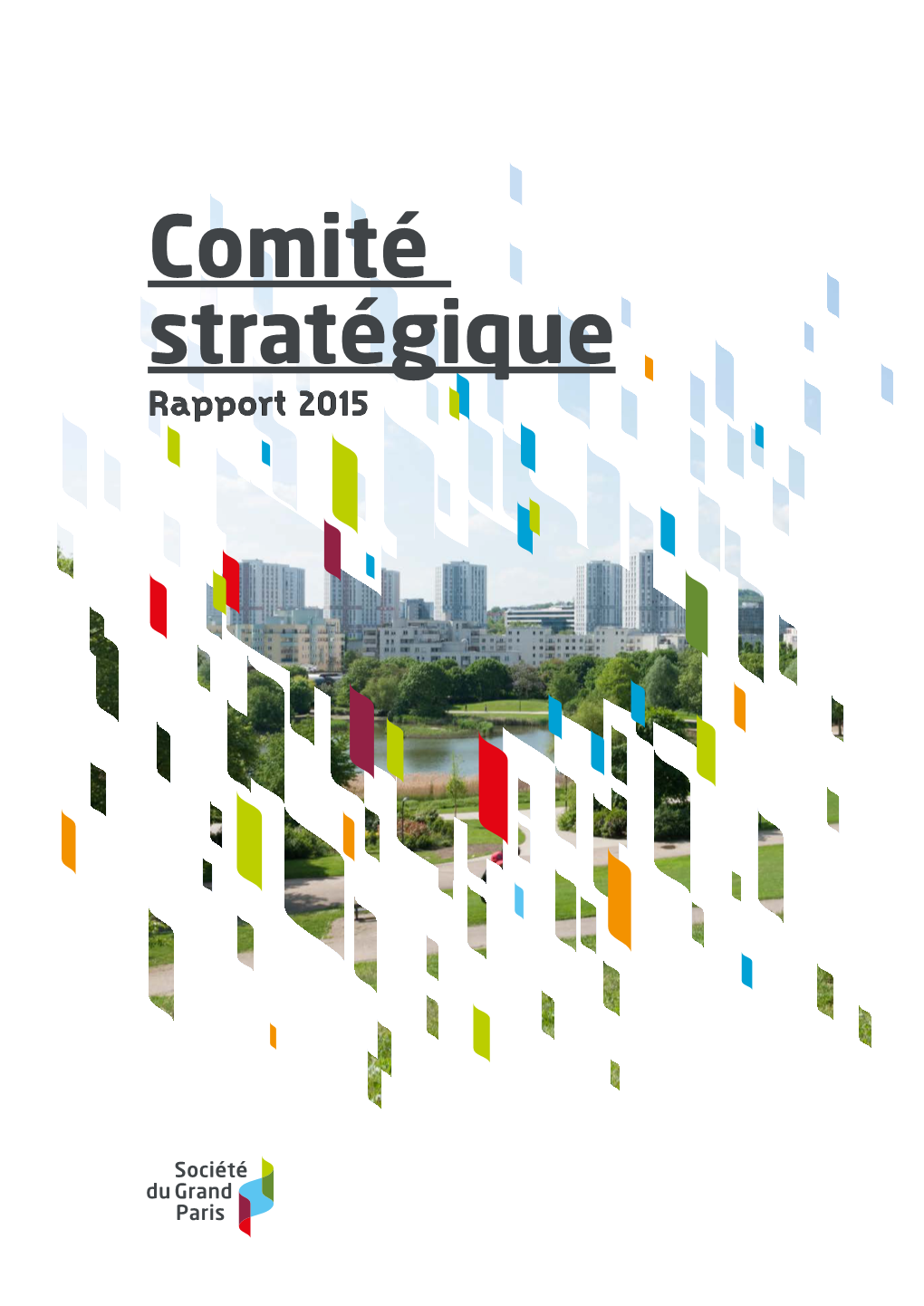 Rapport Du Comité Stratégique 2015