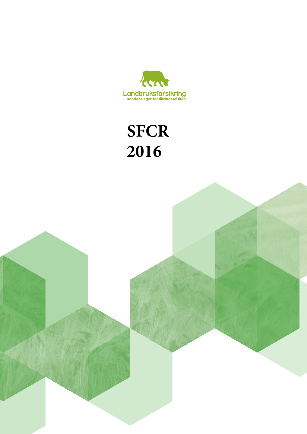 SFCR 2016 Innholdsfortegnelse