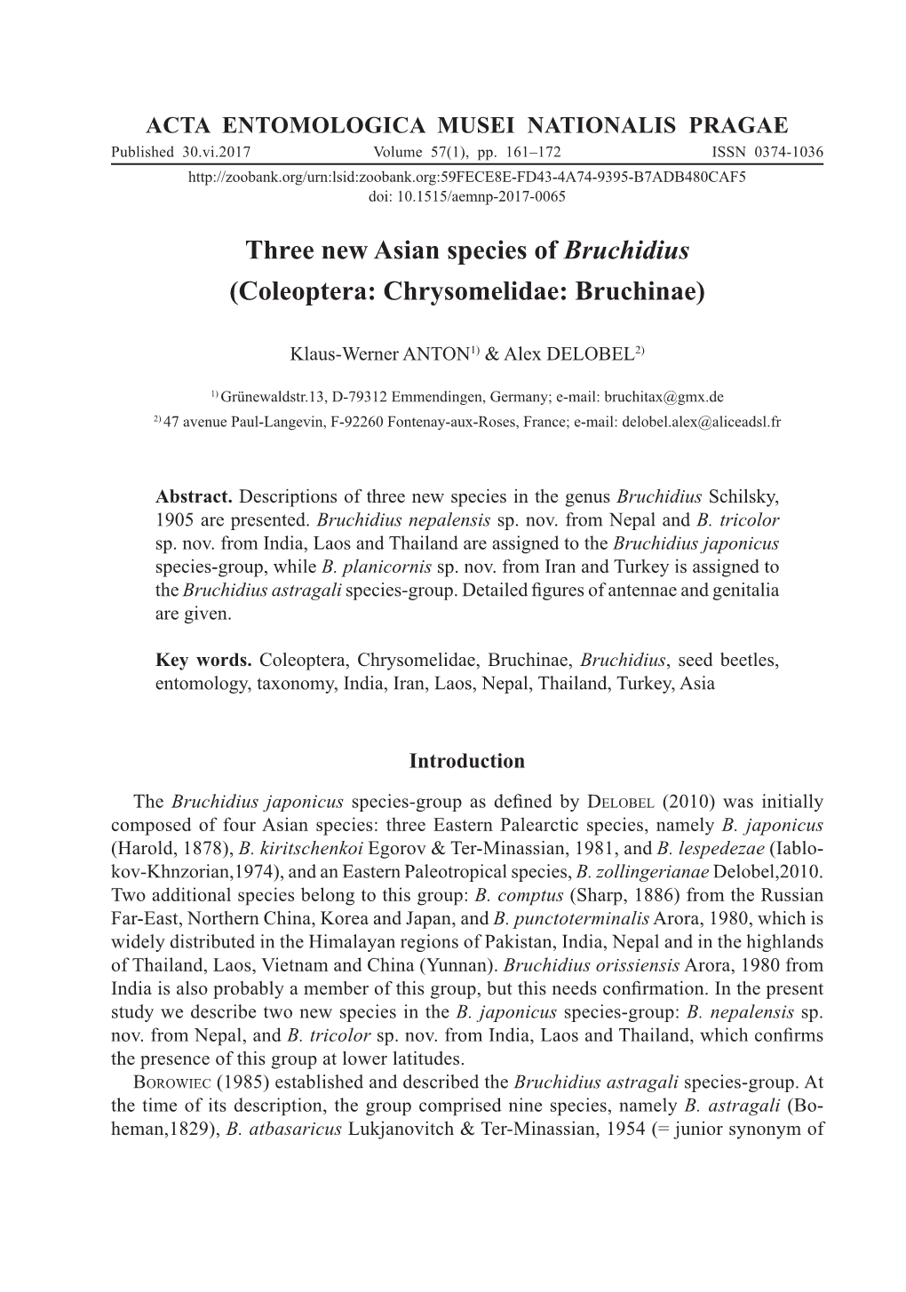 Three New Asian Species of Bruchidius (Coleoptera: Chrysomelidae: Bruchinae)