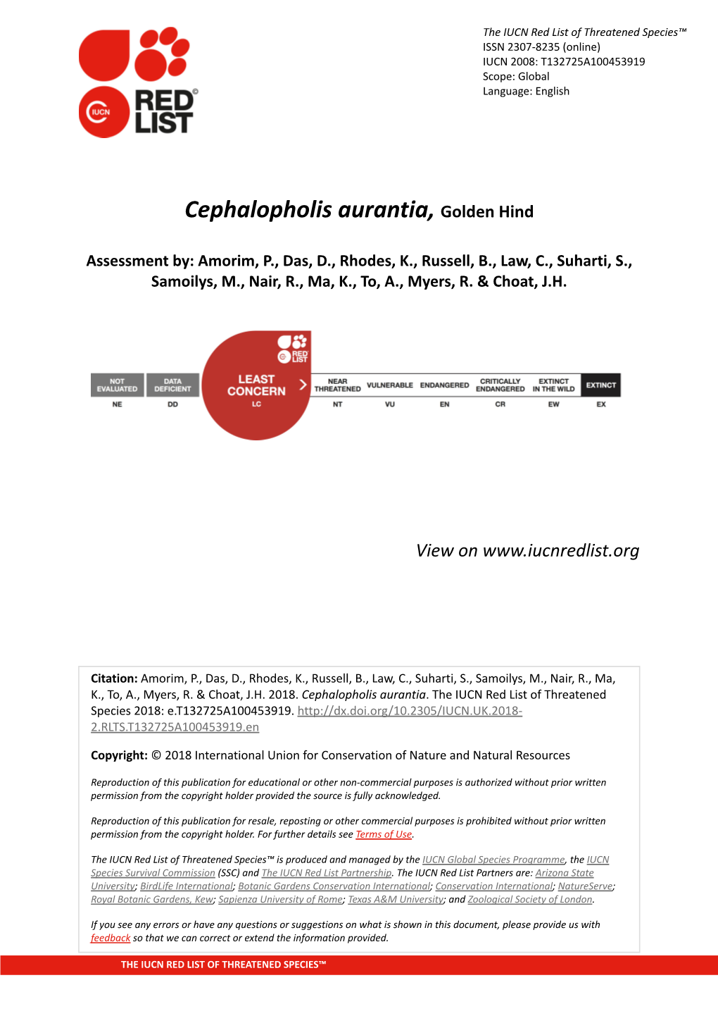 Cephalopholis Aurantia, Golden Hind