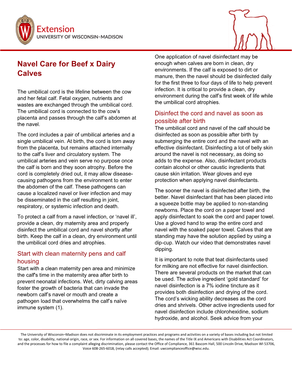 Navel Care for Beef X Dairy Calves