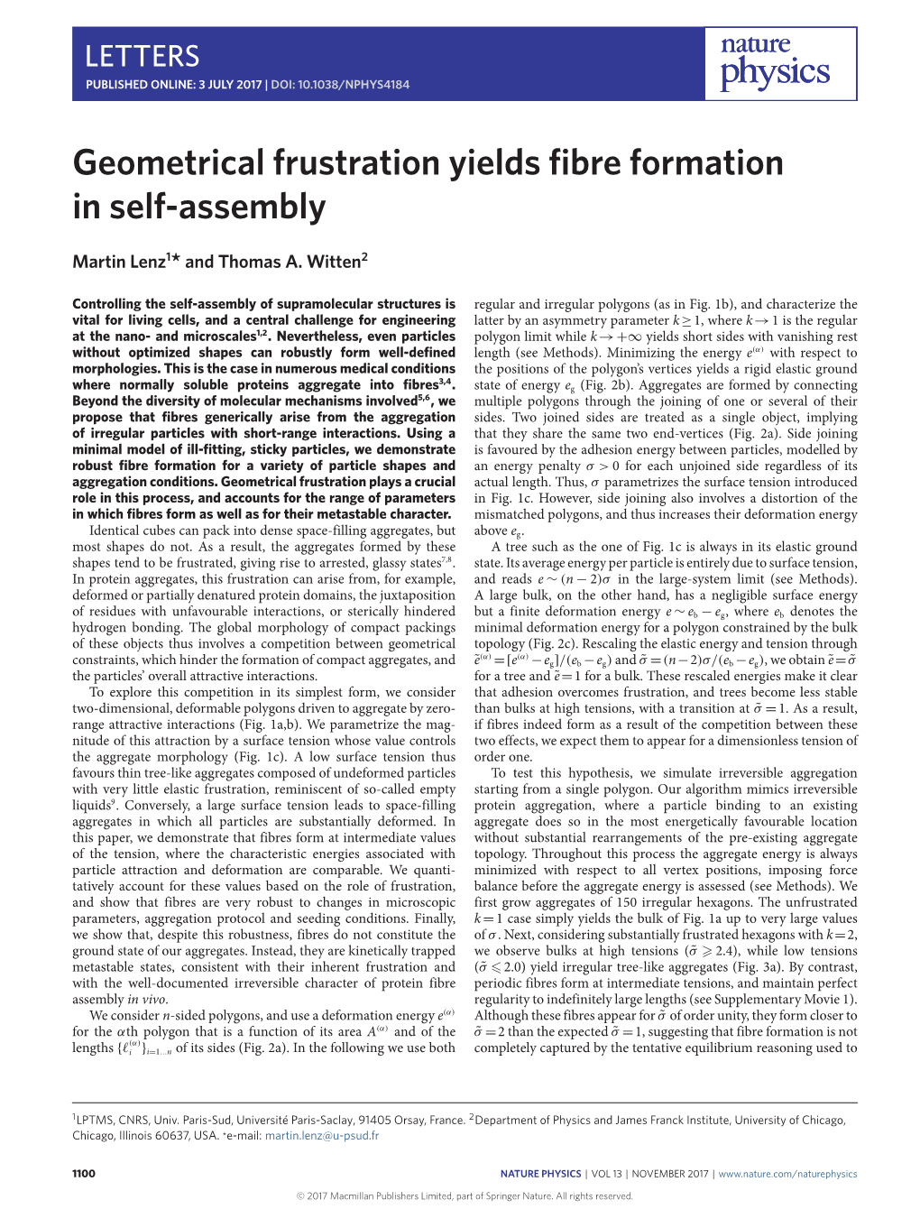 Geometrical Frustration Yields Fibre Formation in Self-Assembly